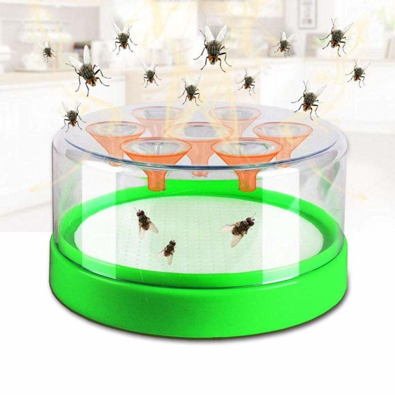 Les pièges à moucherons qui fonctionnent Anti Moucheron